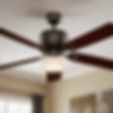Stylish and Functional Hunter Ceiling Fan