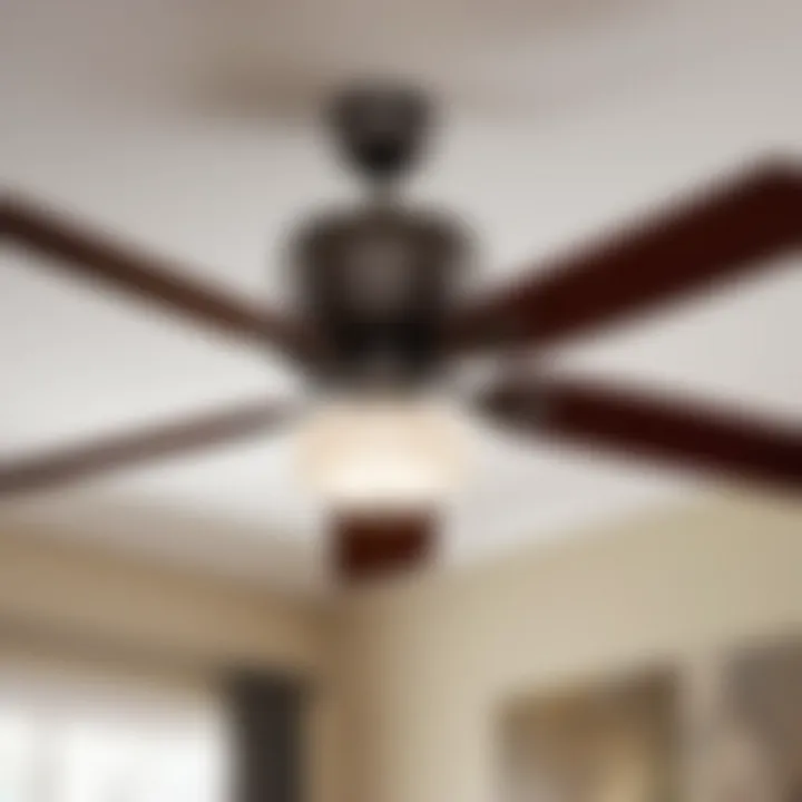 Stylish and Functional Hunter Ceiling Fan