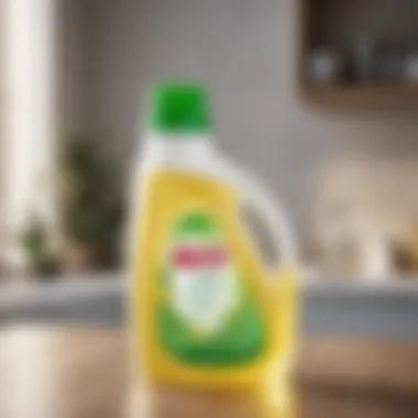 Eco-Friendly Packaging of iClean Detergent