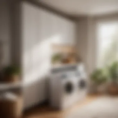 Efficient Space Utilization with Minimalist Laundry Hamper Cabinet Minimalist laundry hamper cabinet for small spaces