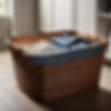 Functional Organization Wicker basket with laundry essentials neatly organized