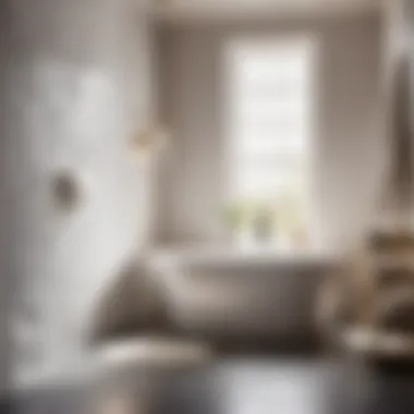 Innovative Water-Resistant Formula Water-Resistant Bathroom Paint