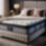 Luxurious Comfort