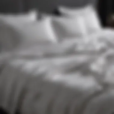 Luxurious Minimalist Bedding Set