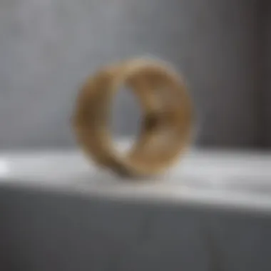 Bathtub Ring Close-Up Close-up view of bathtub with visible ring