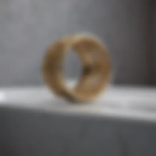 Bathtub Ring Close-Up Close-up view of bathtub with visible ring