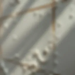 Close-up of waterproof drywall material