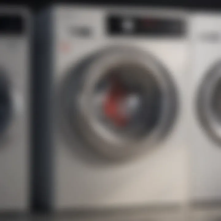 Infographic of Common Laundry Symbols An infographic showcasing common laundry symbols and their meanings.