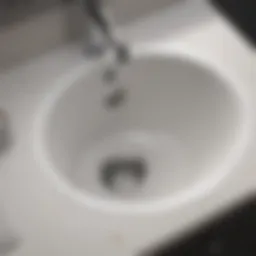 Detailed diagram of laundry tub drain components