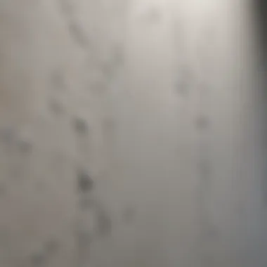 Close-up of mold resistant drywall showing its unique texture