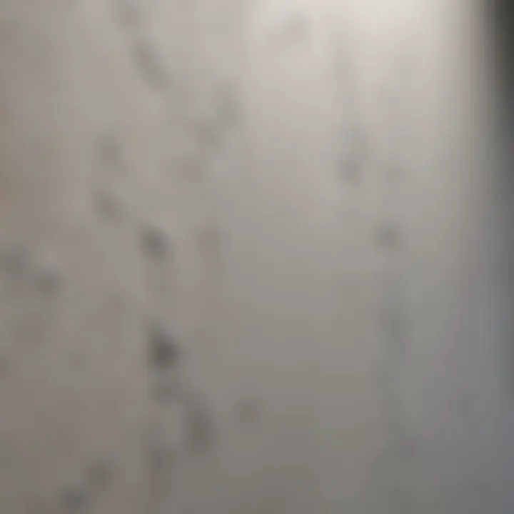 Close-up of mold resistant drywall showing its unique texture