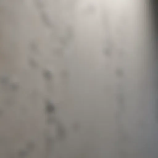 Unique Texture of Mold Resistant Drywall Close-up of mold resistant drywall showing its unique texture