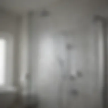Shower Glass Maintenance Guide Maintenance tips for keeping shower glass clear and pristine