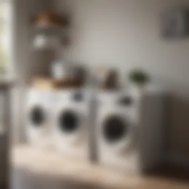 Trendy design variations of double-sided laundry hampers