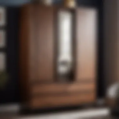 Sleek Contemporary Bedroom Armoire
