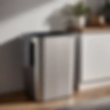 Seamless Practicality Demonstrated User-friendly functionality of blomus laundry bin in action