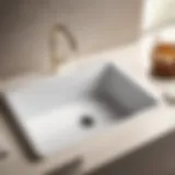 Utilatub Laundry Sink - Sleek Design