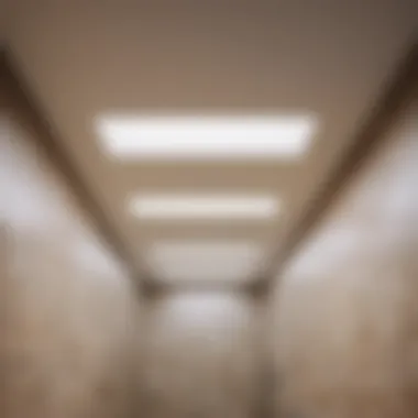 Efficient Utility Maintenance Suspended ceiling for easy access to utilities in bathroom