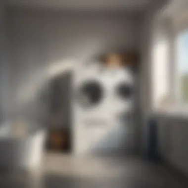 A creative approach to laundry management utilizing bathtub space