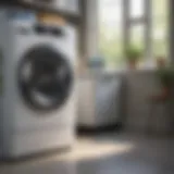 A front load washer with a compartment for laundry sanitizer