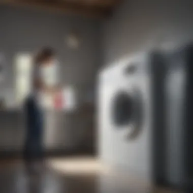 Safety precautions while using laundry sanitizer