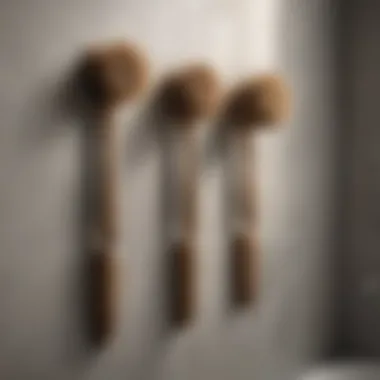 Diverse Styles of Bathroom Back Brushes Variety of bathroom back brushes displayed in an elegant arrangement.