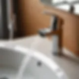 Elegant Bathroom Faucet Sprayer Attachment Elegant bathroom faucet sprayer attachment on modern sink