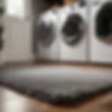 Elegantly patterned grey rug in laundry room