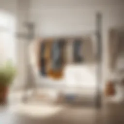 Innovative Laundry Organization