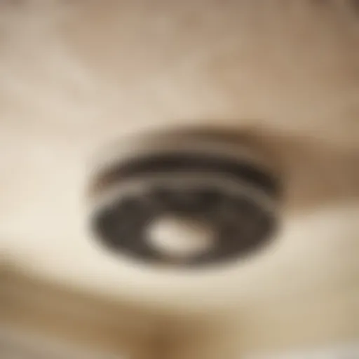 Floral Elegance in Ventilation Vintage Bathroom Exhaust Fan with Floral Design