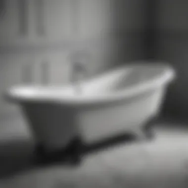 Vintage Cinderella Bathtub in Classic Black and White