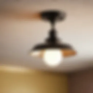 Vintage Industrial Ceiling Fixture
