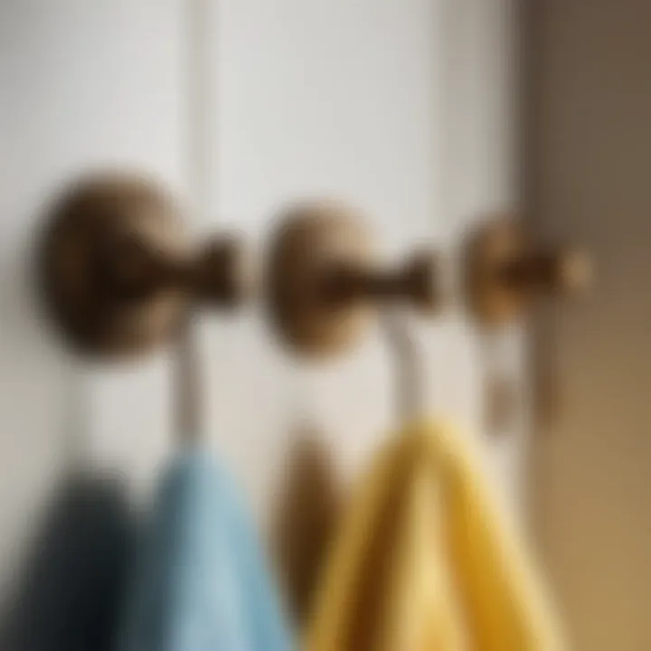 Vintage-Inspired Towel Hook Styling