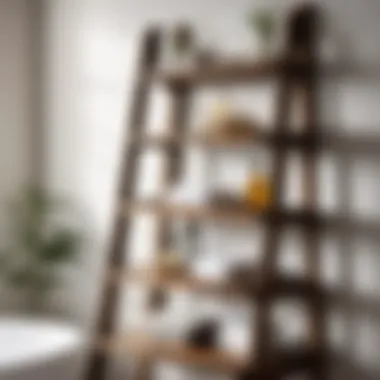 Vintage Ladder Shelf