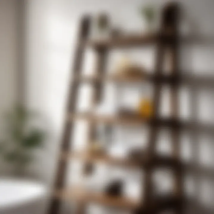 Vintage Ladder Shelf