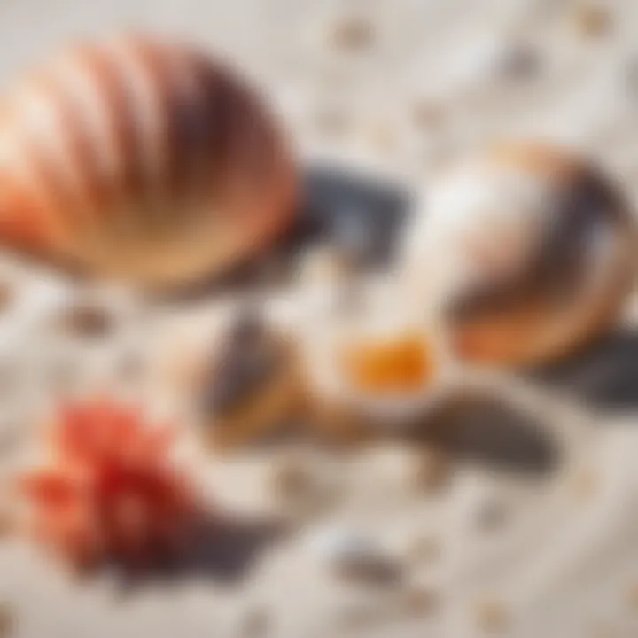 Soothing Watercolor Seashells and Coral