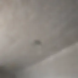Waterproof paint applied to bathroom ceiling showing texture and finish