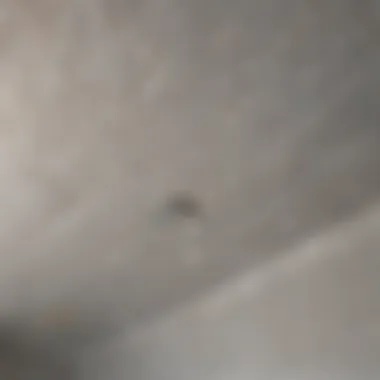 Waterproof paint applied to bathroom ceiling showing texture and finish