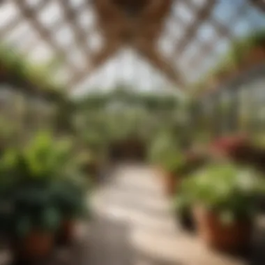 Charming Local Plant Nursery Local nursery with lush greenery