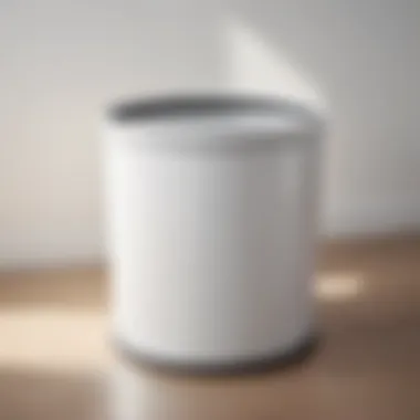 Minimalist White Trash Can Design