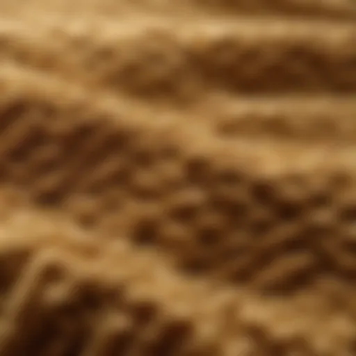 Sumptuous Wool Fabric Texture Luxurious wool fabric texture close-up