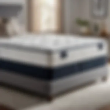 Optimal Support and Comfort of XL Long Twin Mattress