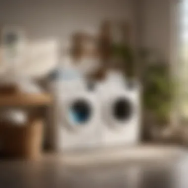 Achieving Zero-Waste Laundry with Non-Toxic Detergent Zero-Waste Laundry Routine with Non-Toxic Detergent