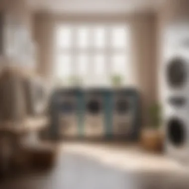 Time-Saving Laundry Delivery
